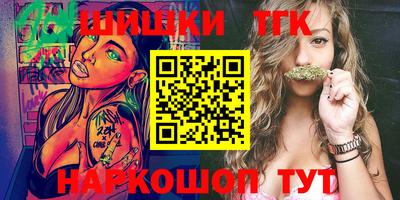 индика Баксан